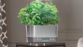 What are the best smart indoor gardens, and what can you grow?