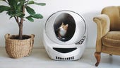 The best robot litter boxes: Top automatic litter boxes compared